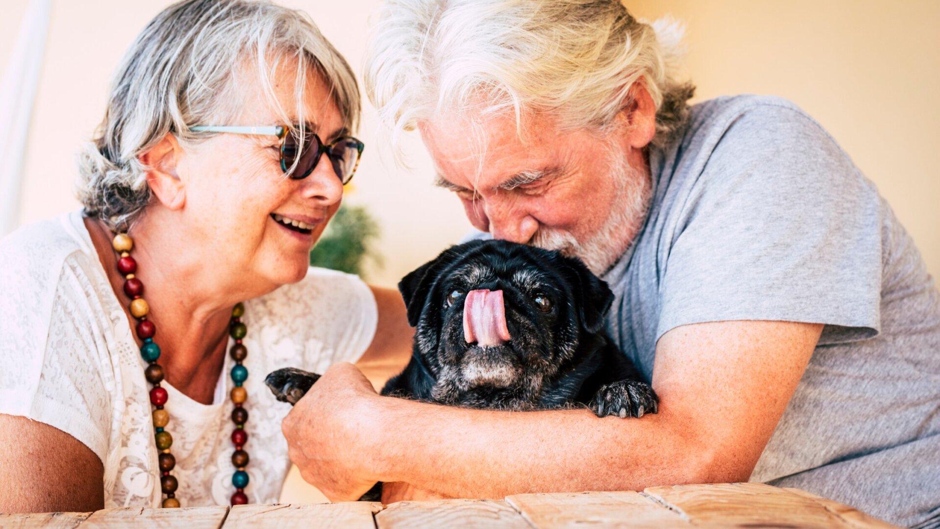 A senior couple from Traditions of Beavercreek smiling and holding their pet while sitting in their independent living apartment