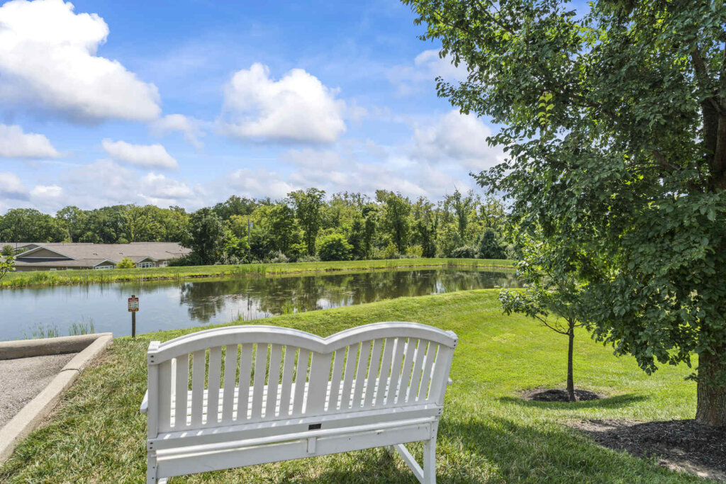 Bench looking out towards a lake