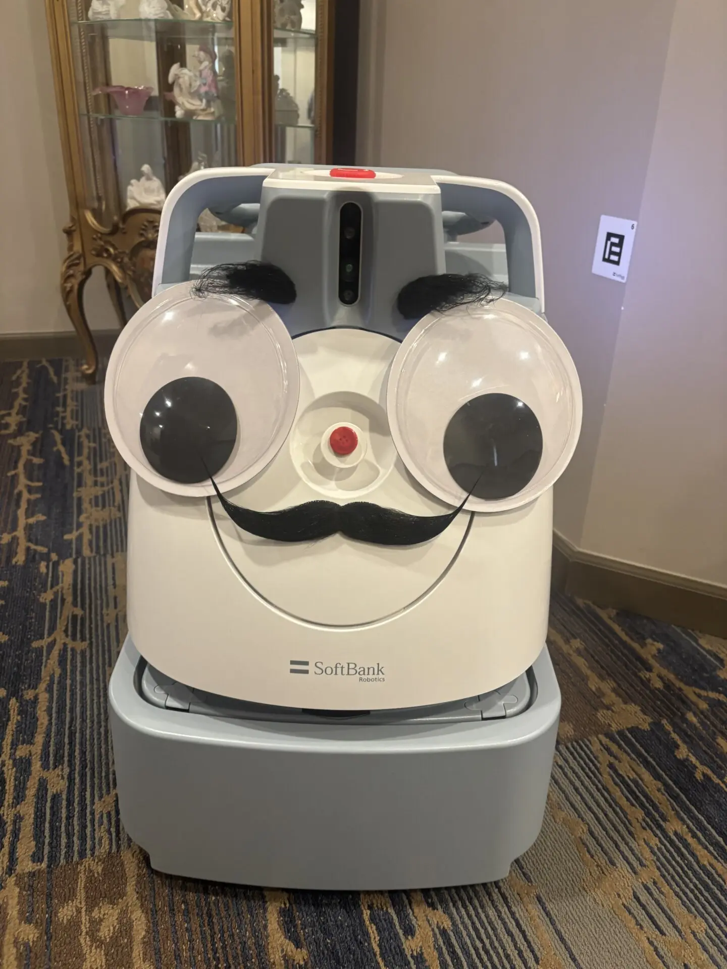 Welcoming Our Robot Vacuum Cleaners: Increasing Cleanliness and